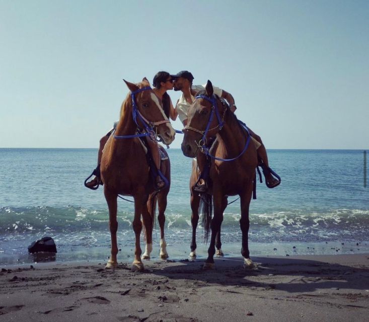 Santorini Fun day: Horseriding- Wine Tasting - Tapas - A local winery and Santorini’s wine tradition