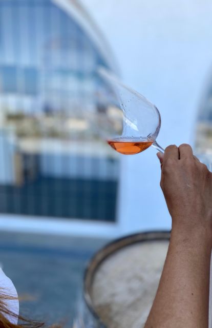 Santorini Fun day: Horseriding- Wine Tasting - Tapas - Riding along Santorini’s southern coast