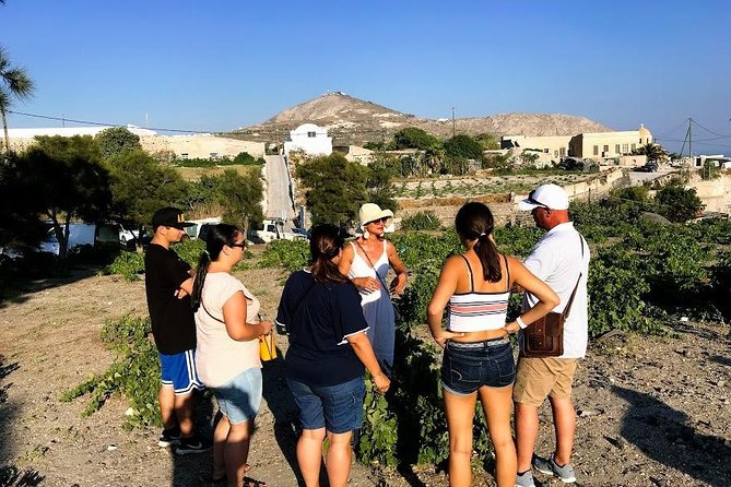 Santorini Half Day Wine Tasting & Winery Tour with Pickup - Artemis Karamolegos Winery brings a modern touch