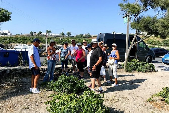 Santorini Half Day Wine Tasting & Winery Tour with Pickup - Anhydrous Winery closes the tasting route