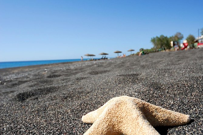 Santorini Highlights: 5-Hour Private Tour with Wine-Tasting - Cruise-port planning and the return guarantee