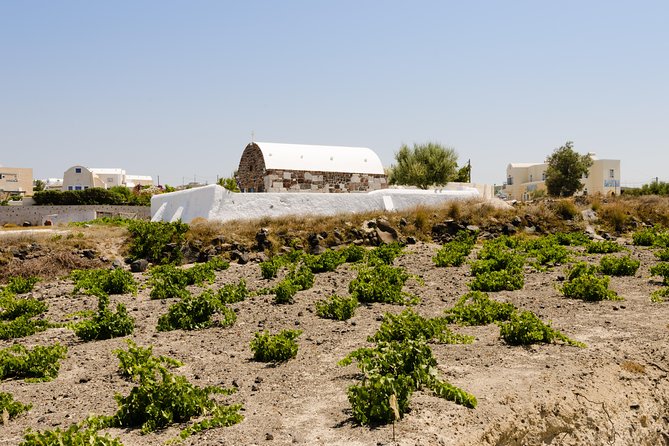 Santorini Highlights and Venetian Castles Small-Group Day Tour - Two hours at Perivolos black-sand beach