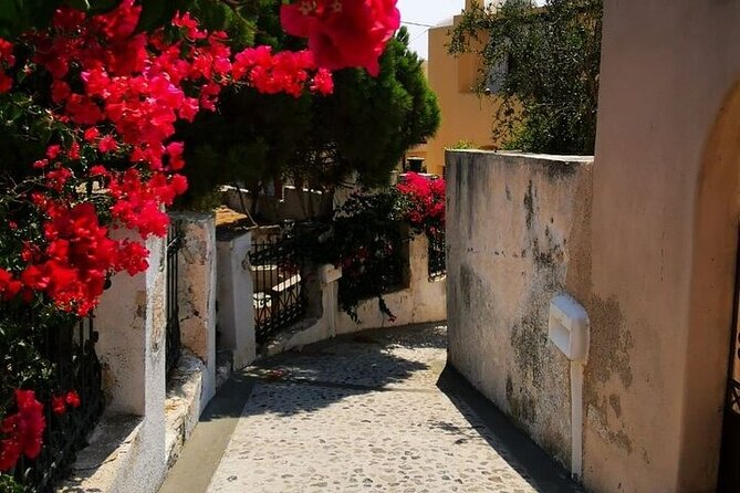 Santorini Highlights Tour 5 Hour - Profitis Ilias at 567 meters