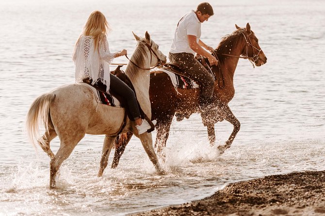 Santorini: Horse Riding to the Black Sandy Beach (Eros beach) - Horses, guides, and comfort for first-time riders