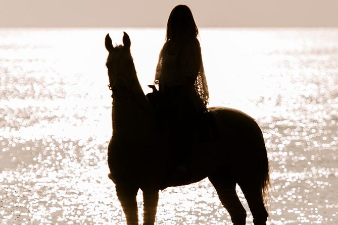 Santorini: Horse Riding to the Black Sandy Beach (Eros beach) - Reaching Eros Beach and its dark volcanic shore