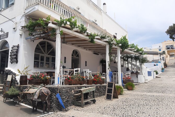 Santorini like a local: Discover local flavors by exploring the island! - What the $289.40 price means