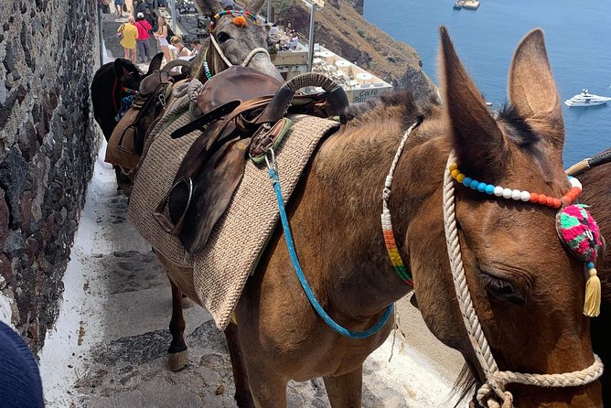 Santorini: Local Life Full Day Tour - Pickup is simple, but confirm your exact point