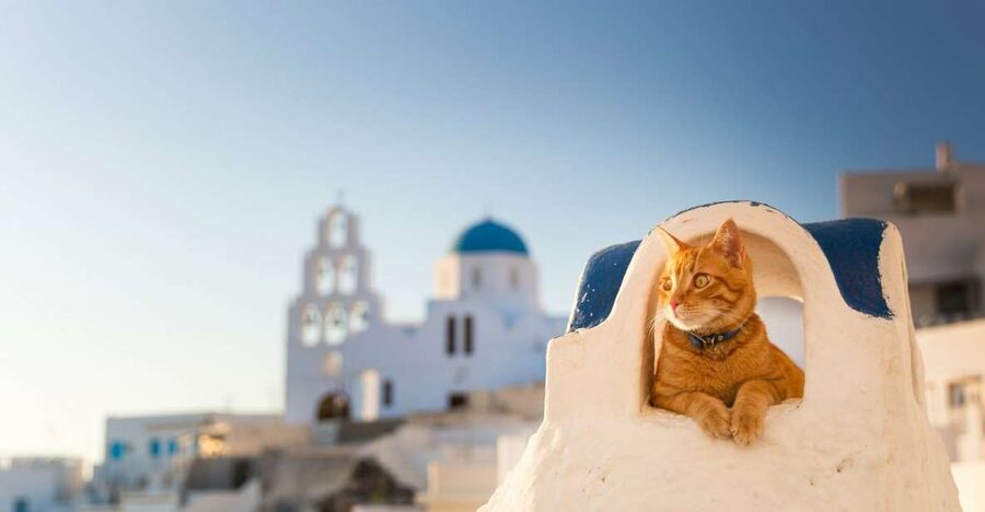 Santorini: Private 4-Hour Chauffeur Service - Traditional villages beyond the caldera