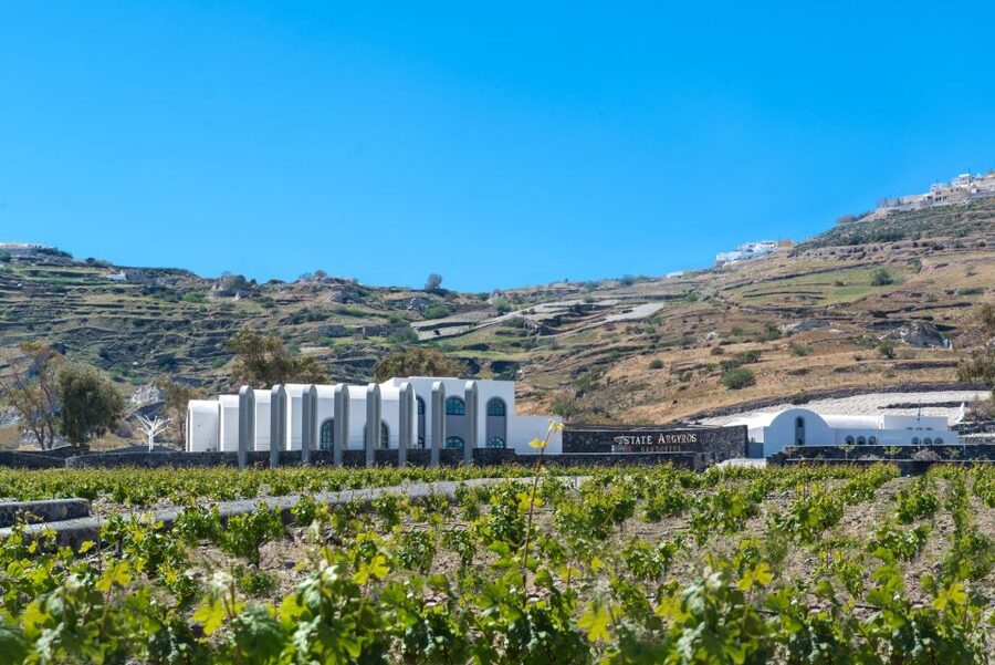 Santorini: Private 5-Hour Hidden Gems Experience - Should you book the Santorini Hidden Gems Experience?