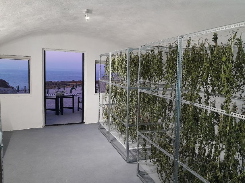 Santorini: Private Agri-Educational Visit to an Organic Farm - Key points at a glance