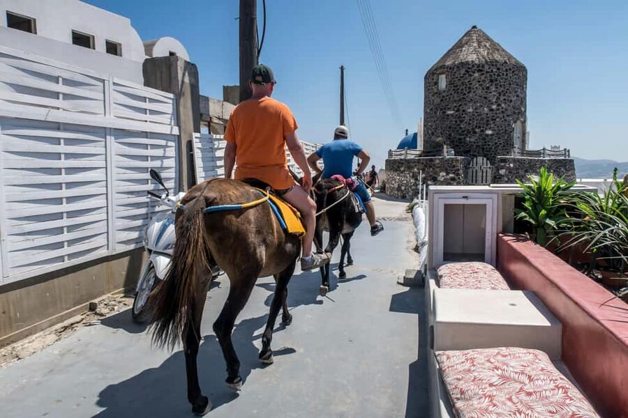 Santorini : Private Guided Highlights Tour - Who should book this tour?