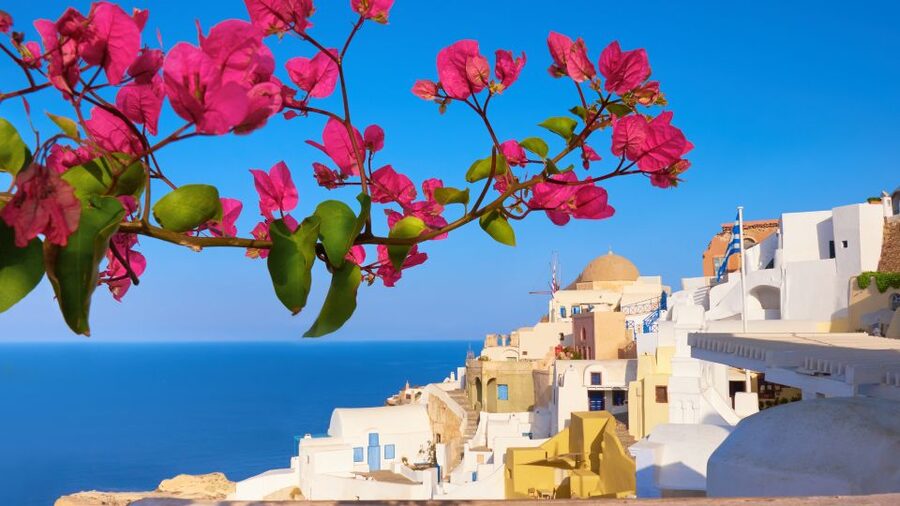 Santorini : Private Half Day - Best of & Wine Tasting Tour - Art Space Winery: volcanic soil in the glass