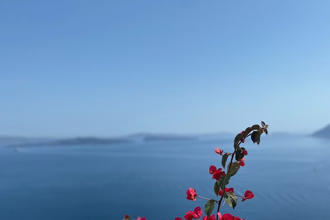 Santorini Private HIGHLIGHTS TOUR - Megalochori and the traditional village stop