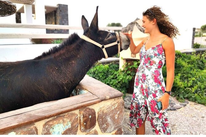 Santorini Private Tour 5hours Wine and local product tasting - Cruise ship timing needs careful planning