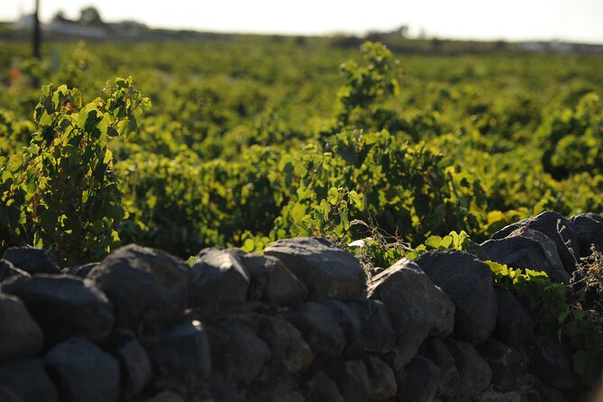 Santorini Private Wine Tour with Dinner & Oia Sunset - Why this private wine tour works well in Santorini