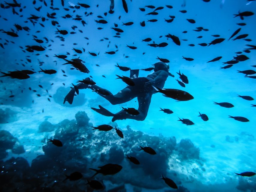 Santorini: Scuba Diving Experience for Beginners - What you see beneath the surface