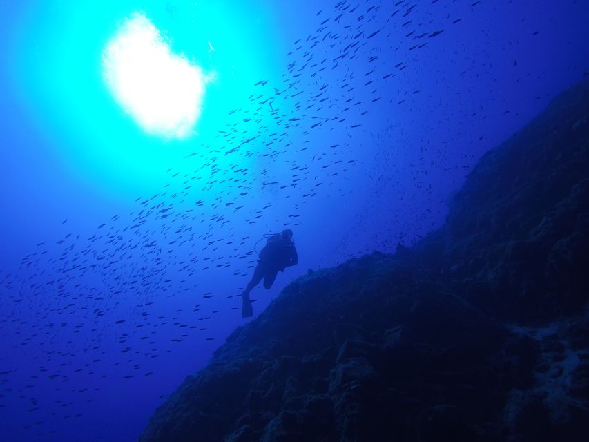 Santorini: Scuba Diving Experience for Beginners - What the $147 price includes