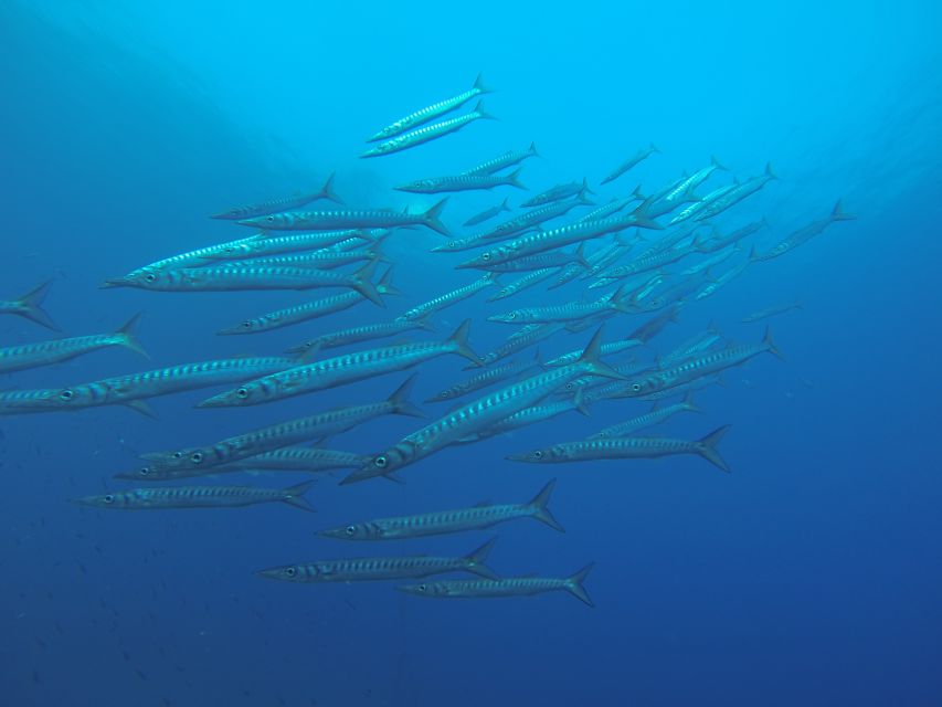 Santorini: Scuba Diving Experience for Beginners - What to bring for a comfortable afternoon