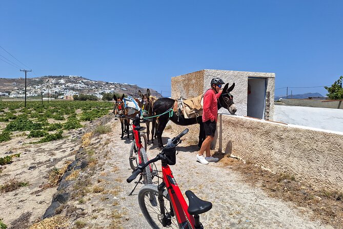 Santorini Small Group Guided E-bike Tour & Local Tomato Museum - A guide who shapes the experience