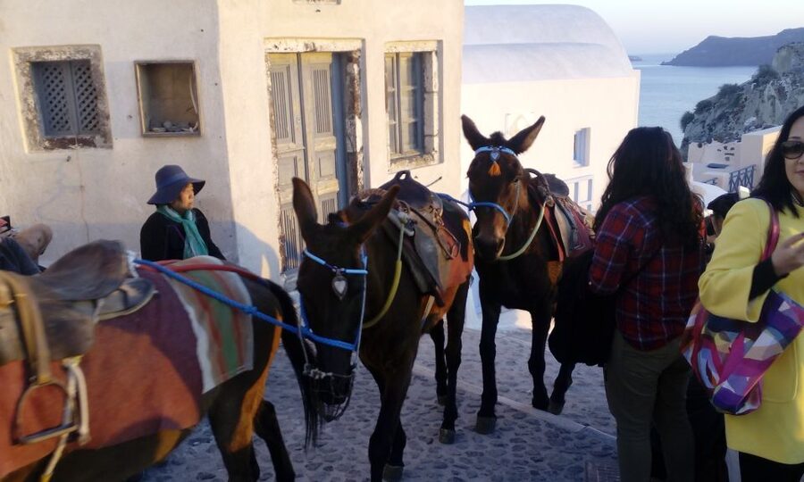 Santorini: Small-Group Highlights Tour of Venetian Castles - Akrotiri supplies a quick southern view