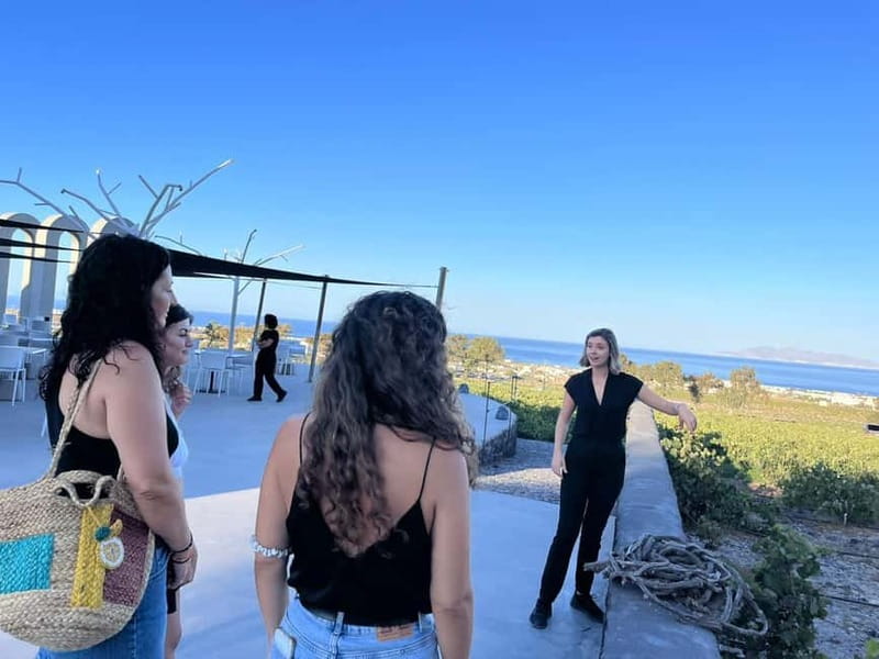 Santorini: Small Group Tour of 3 Local Wineries - Should you book this Santorini winery tour?
