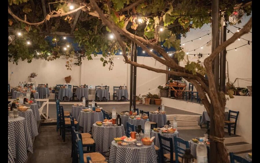 Santorini: The Greek Wedding Show Entry Tickets - Greek appetizers, wine, and what counts as dinner