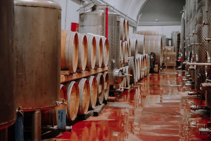 Santorini: Through the Grapevine Tour Winery Tasting Tour - First stop: getting to know the volcanic ground