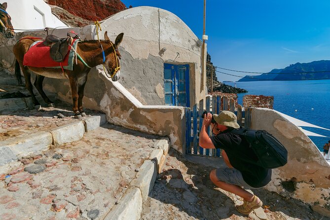 Santorini Tour Designed Especially for Cruise Passengers - Is $76.40 a fair price?