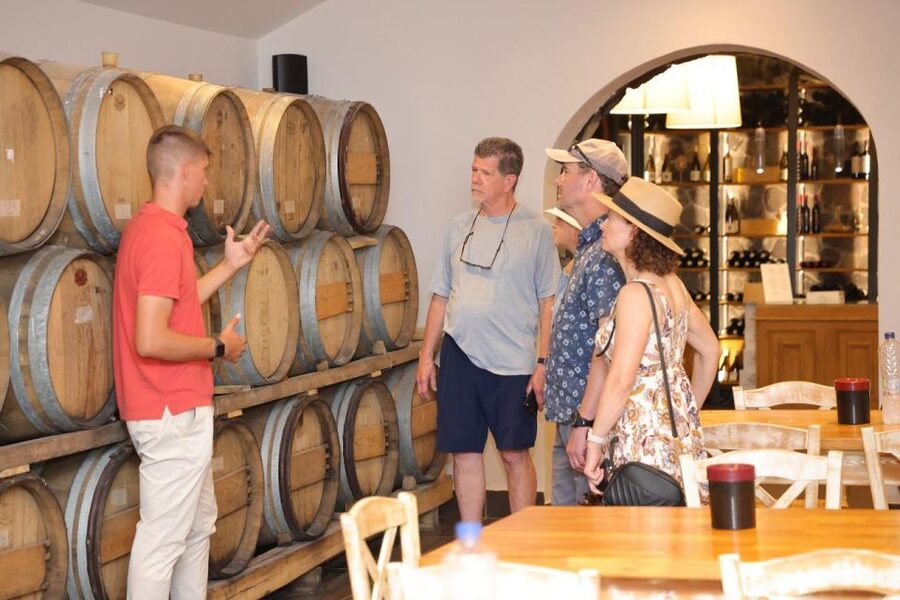 Santorini: Vineyard and Winery Tour with Cooking Class - Key points to know before booking