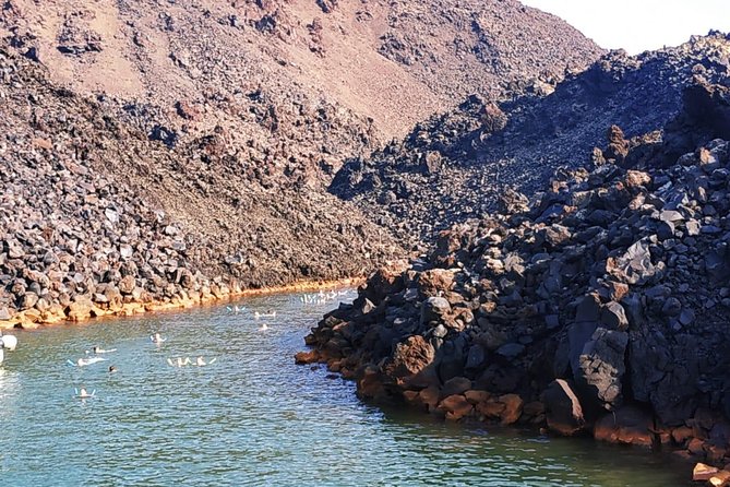 Santorini Volcanic Islands Cruise: Volcano, Hot Springs and Thirassia - Who should book this cruise?