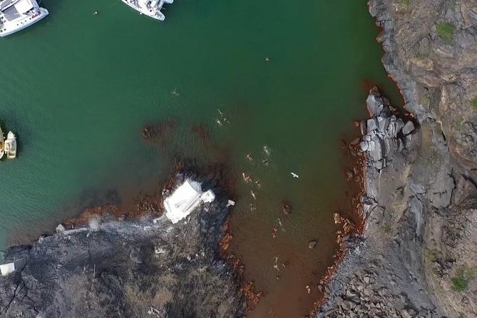 Santorini Volcano Tour - Swimming at Palea Kameni’s mineral springs