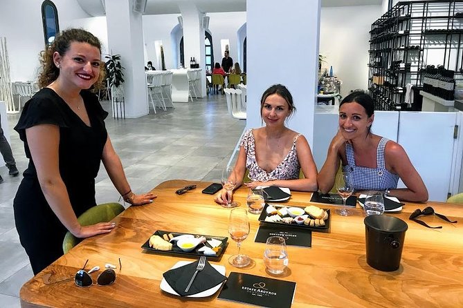 Santorini Wine and Food Experience with pick up included - Eight wines, Greek food, and Cycladic cheese