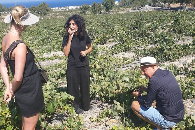 Santorini Wine Secrets - What the guide adds to the experience