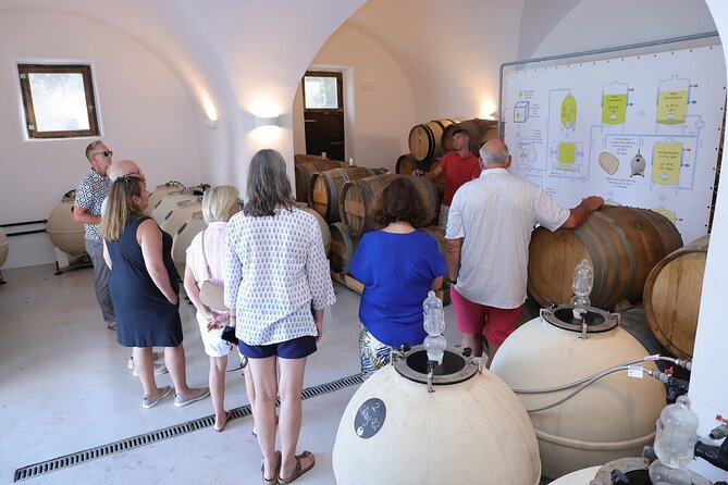 Santorini Wine Stories: Sunset Tour with Tasting & Dinner - Cellars, old vines, and the dinner stop