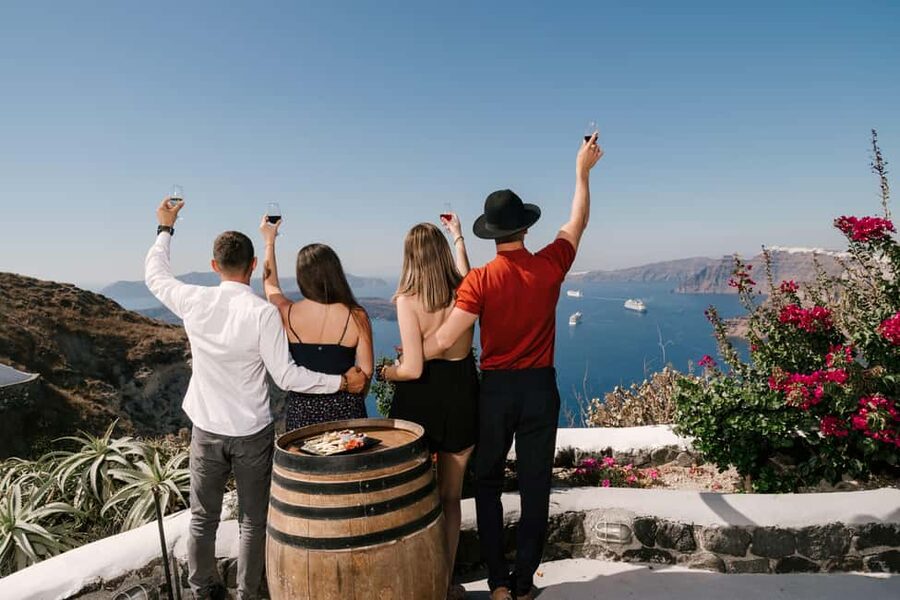 Santorini: Wine Tasting Tour to 3 Wineries with Transfer - Who should book this Santorini wine tour?