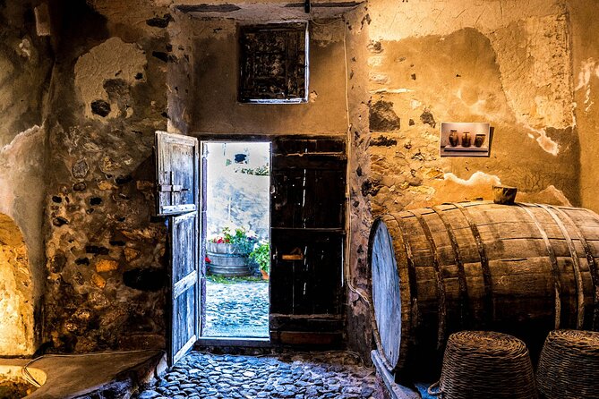 Santorini Wine Tour in two or three Wineries - Estate Argyros: a modern family operation