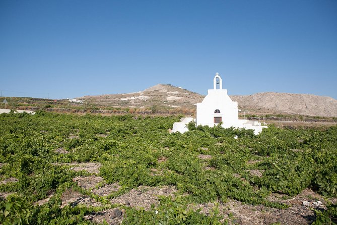 Santorini Wine Tour: Taste 12 best wines & 3 beers with pairings - Anhydrous Winery and modern experiments