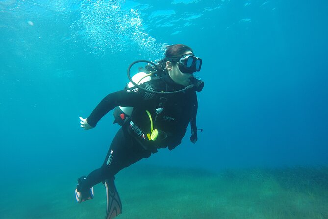 Scuba Diving Experience in Santorini - The volcanic reef and marine life beneath Santorini