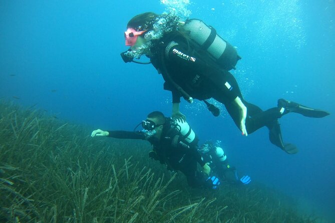 Scuba Diving Experience in Santorini - What is included, and what needs clarification
