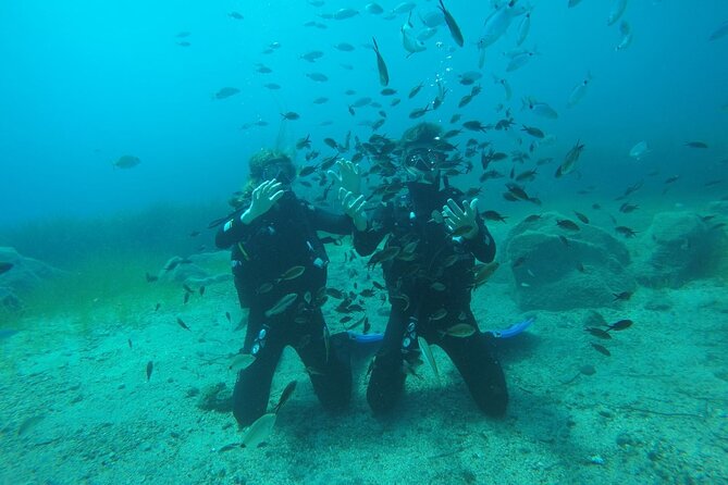 Scuba Diving Experience in Santorini - Timing matters if you are flying from Santorini