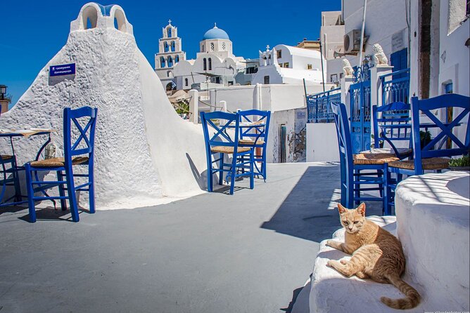 Shore Excursion for Cruise Passengers 4 Hours Private Tour - Four hours, four very different Santorini views