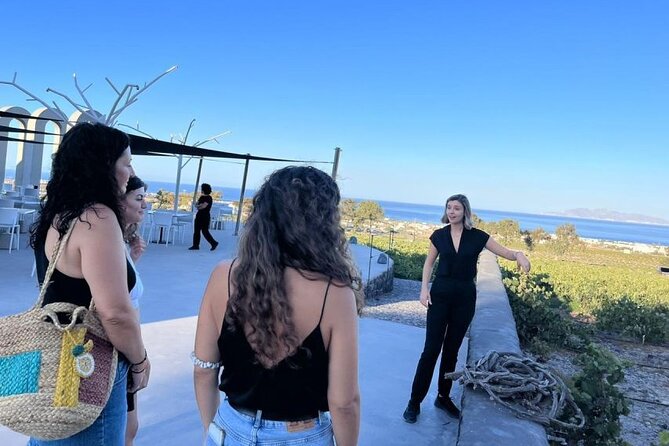 Small Group Local Wine Tasting Tour In Santorini - Key points at a glance