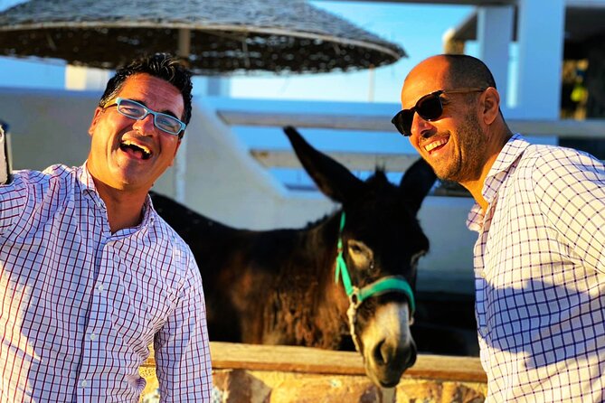 Smooth and Fun Taste of Santorini Private Tour - Who should book this experience