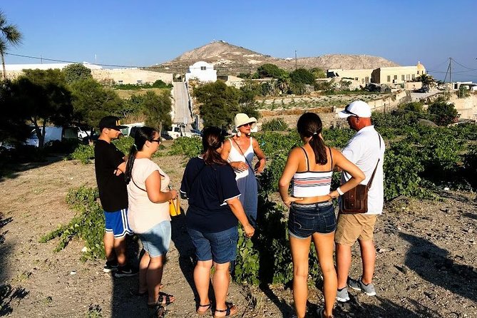Top Santorini Attractions Highlights Day Tour with Host - Red Beach: dramatic rock and a practical warning
